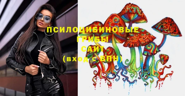 прущий лед Алзамай